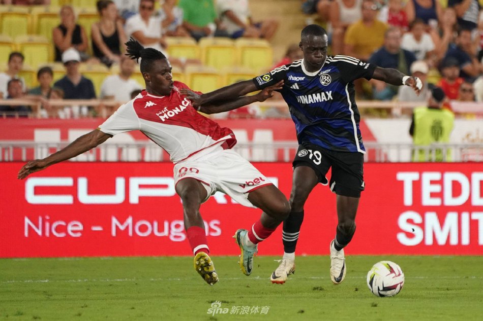 许多羽毛球 许多羽毛球